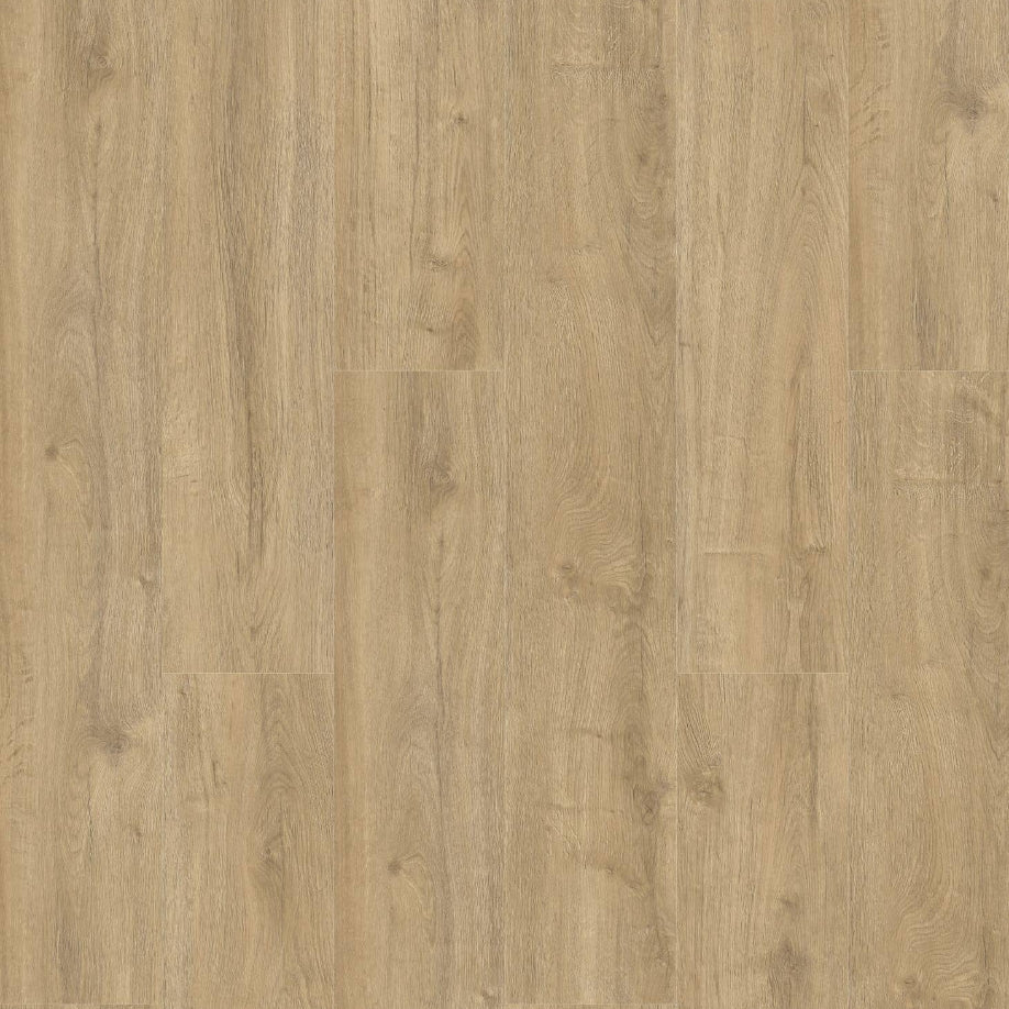 Gelasta Oakland 6104 (dryback) Smoked