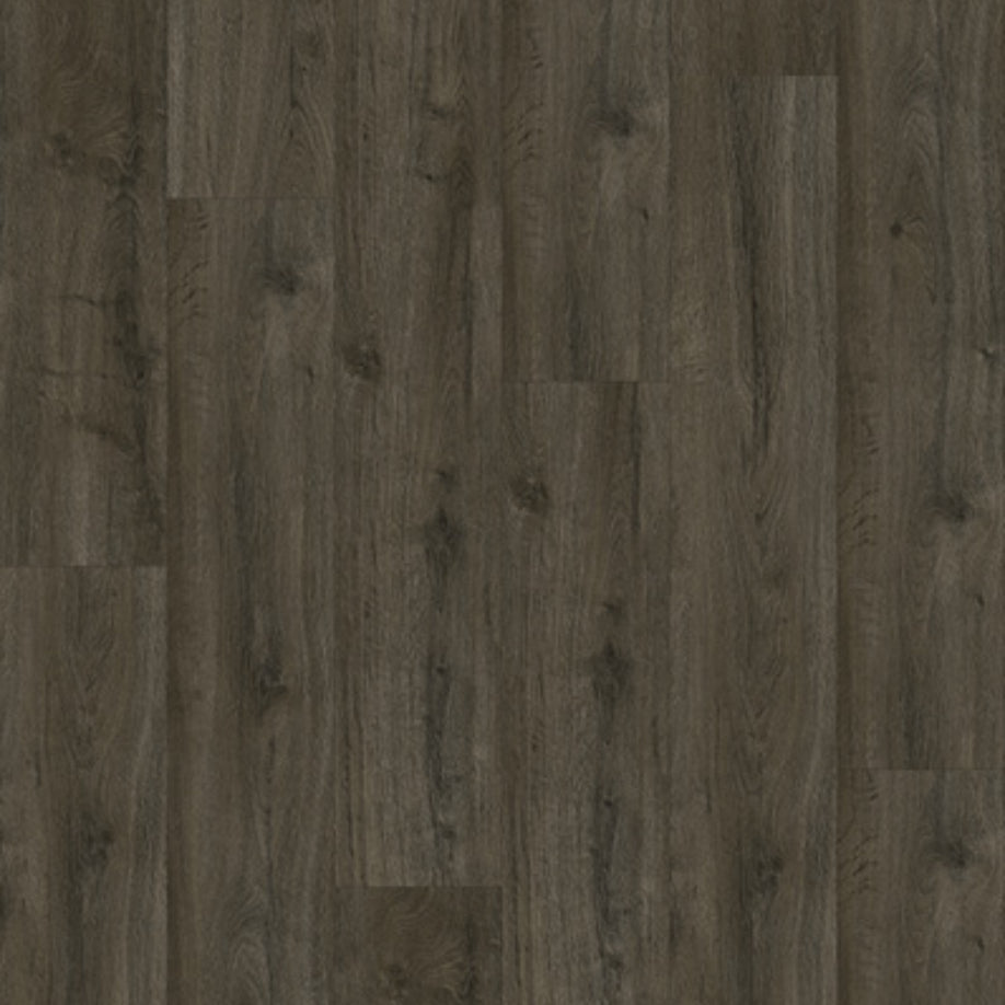 Gelasta Oakland 6106 (dryback) Soil