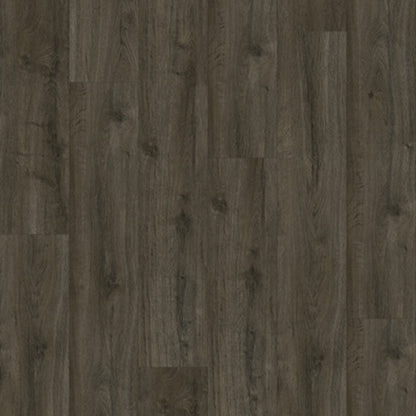 Gelasta Oakland 6106 (dryback) Soil