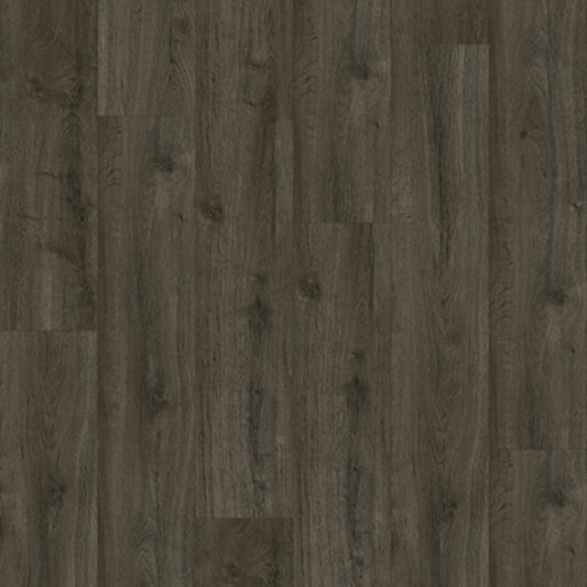 Gelasta Oakland 6106 (dryback) Soil