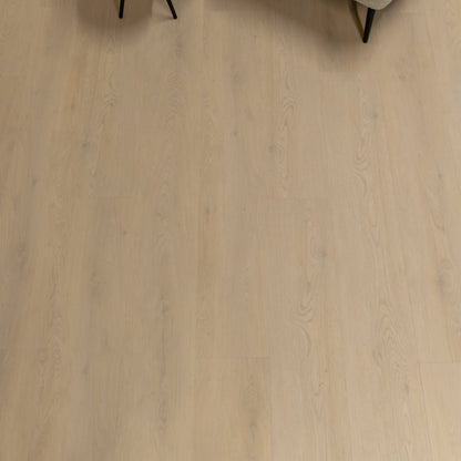 Gelasta Mytiq 2803 (rigid click) Smoked Light