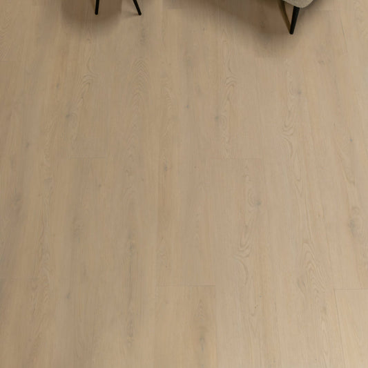 Gelasta Mytiq 2803 (rigid click) Smoked Light