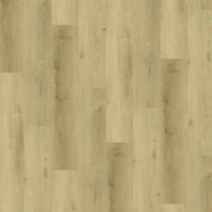 Gelasta Vario 4904 (dryback) Prestige Oak Light