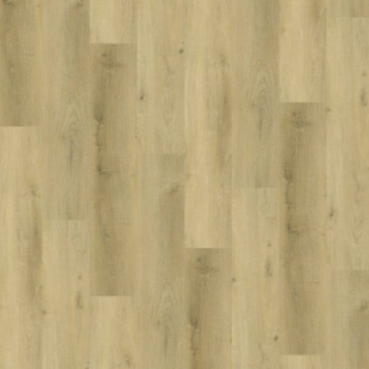 Gelasta Vario 4904 (dryback) Prestige Oak Light