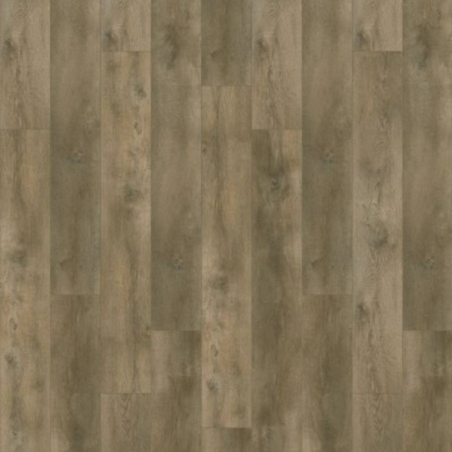 Gelasta Nevada 6001 (dryback) Valley Oak Pepper