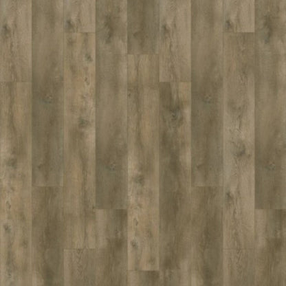 Gelasta Nevada 6001 (dryback) Valley Oak Pepper