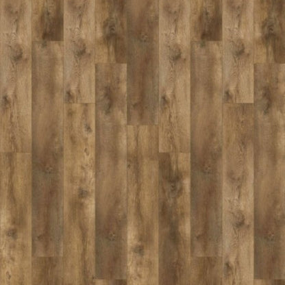 Gelasta Nevada 6003 (dryback) Valley Oak Charcoal