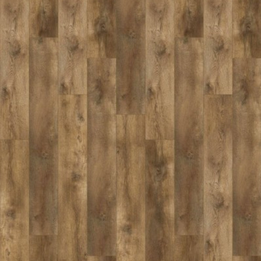 Gelasta Nevada 7003 (rigid click) Valley Oak Charcoal