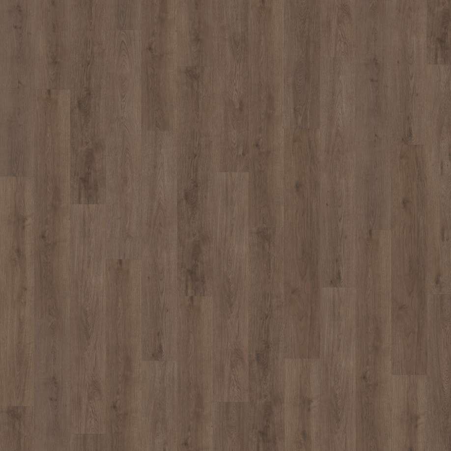 Belakos Monastro 900 | Rigid Click