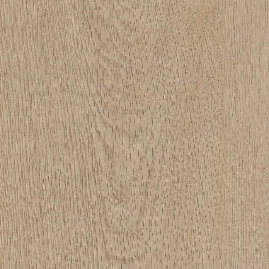Belakos Monastro 920 | Rigid Click