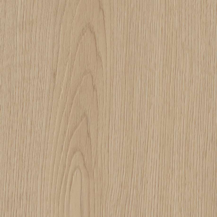 Belakos Monastro 920 | Rigid Click