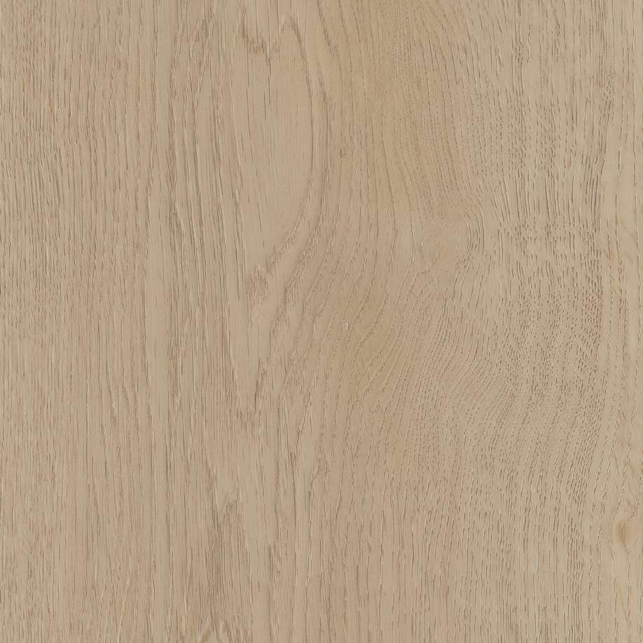 Belakos Monastro 920 | Rigid Click