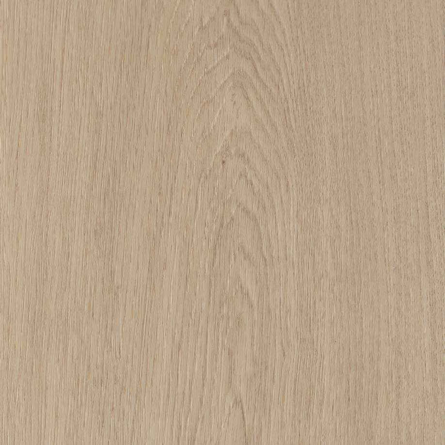 Belakos Monastro 920 | Rigid Click