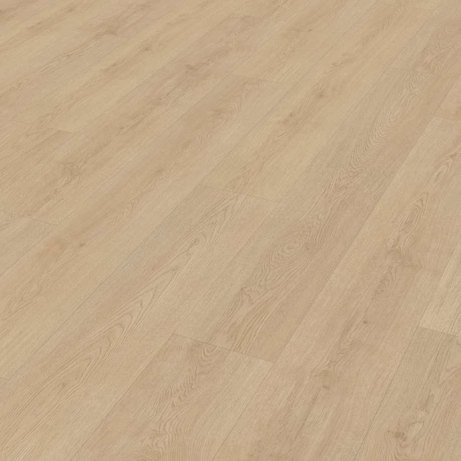 Belakos Monastro 920 | Rigid Click
