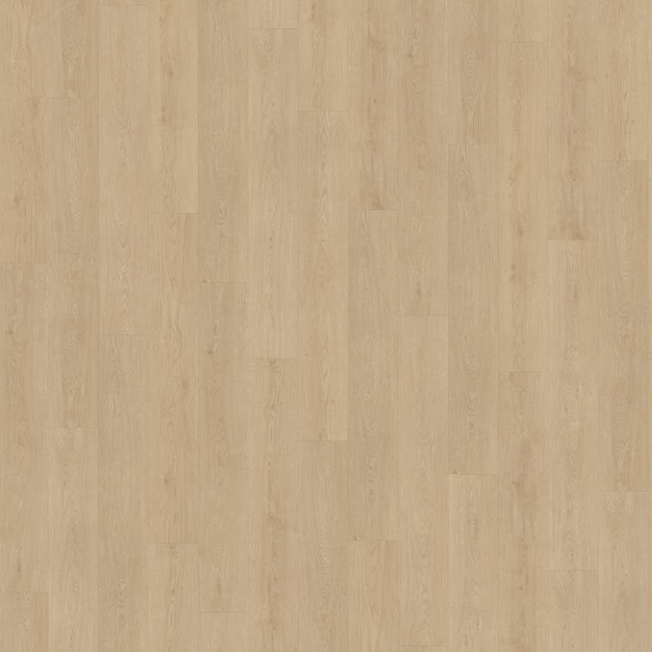 Belakos Monastro 920