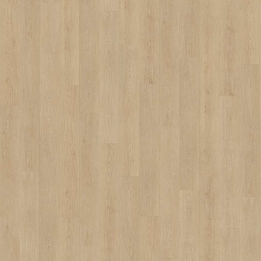 Belakos Monastro 920 | Rigid Click