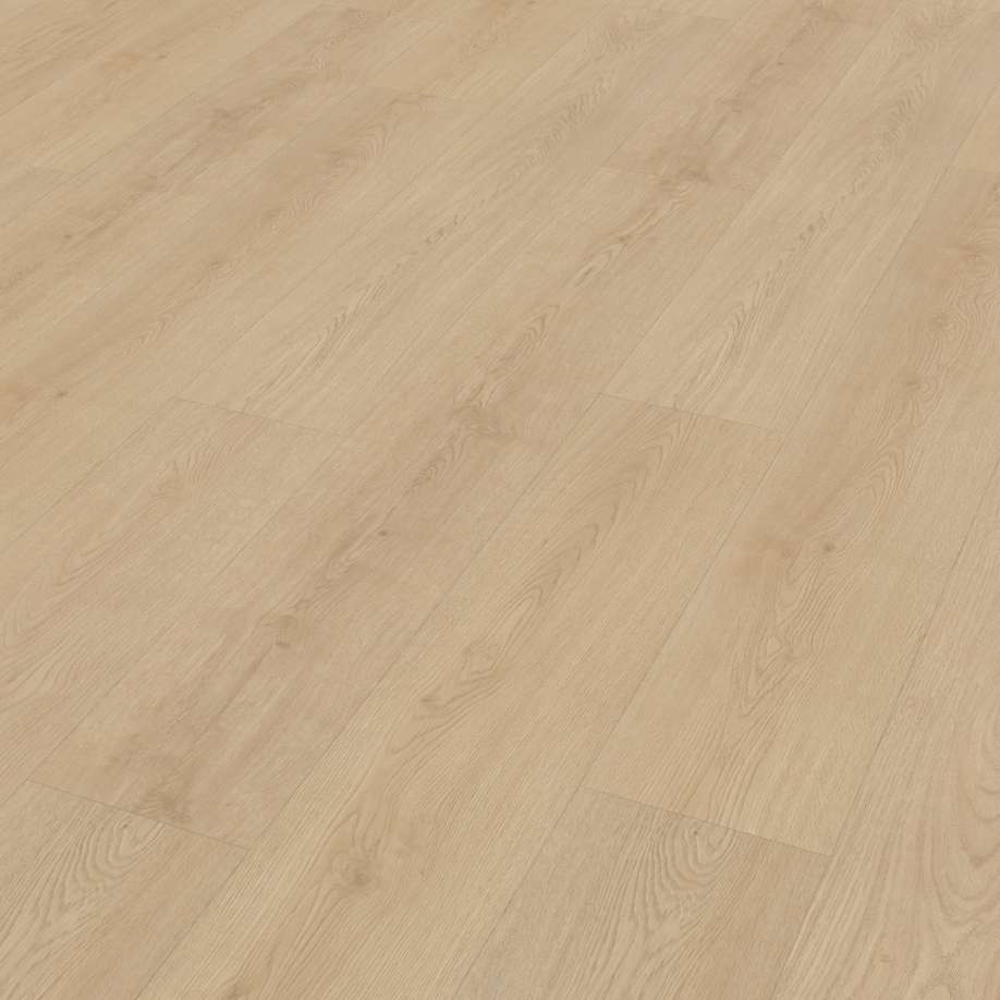 Belakos Monastro 920 | Rigid Click