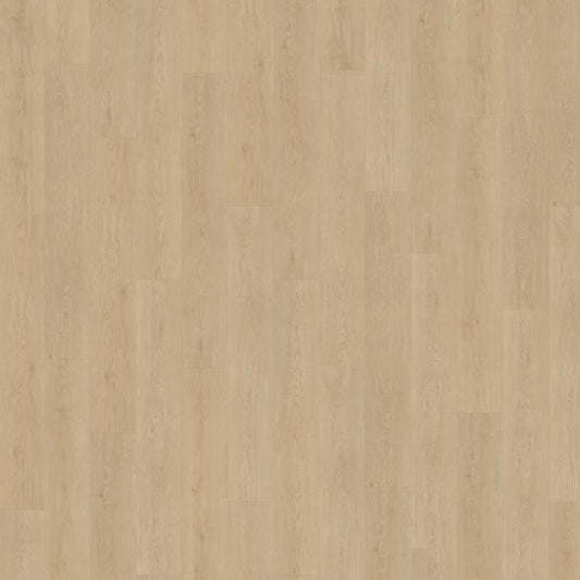 Belakos Monastro 920