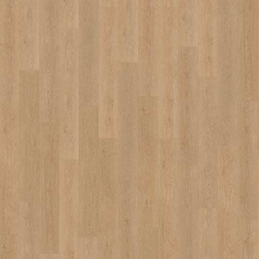 Belakos Monastro 930 | Rigid Click