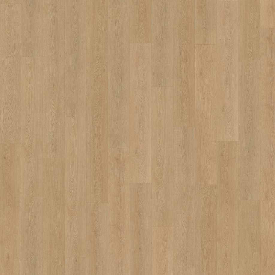 Belakos Monastro 930 | Rigid Click