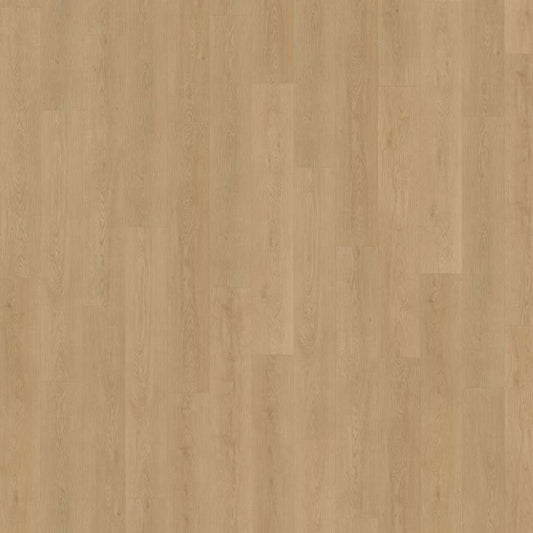 Belakos Monastro 930 | Rigid Click