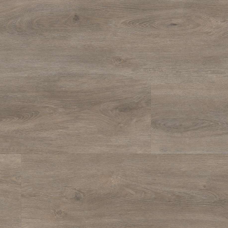 Floorlife Parramatta dryback smoky