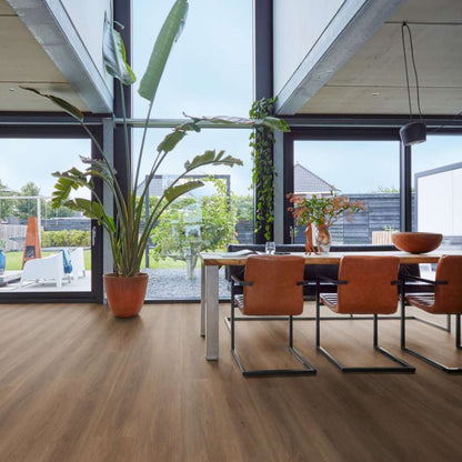 Floorlife Parramatta dryback warm brown