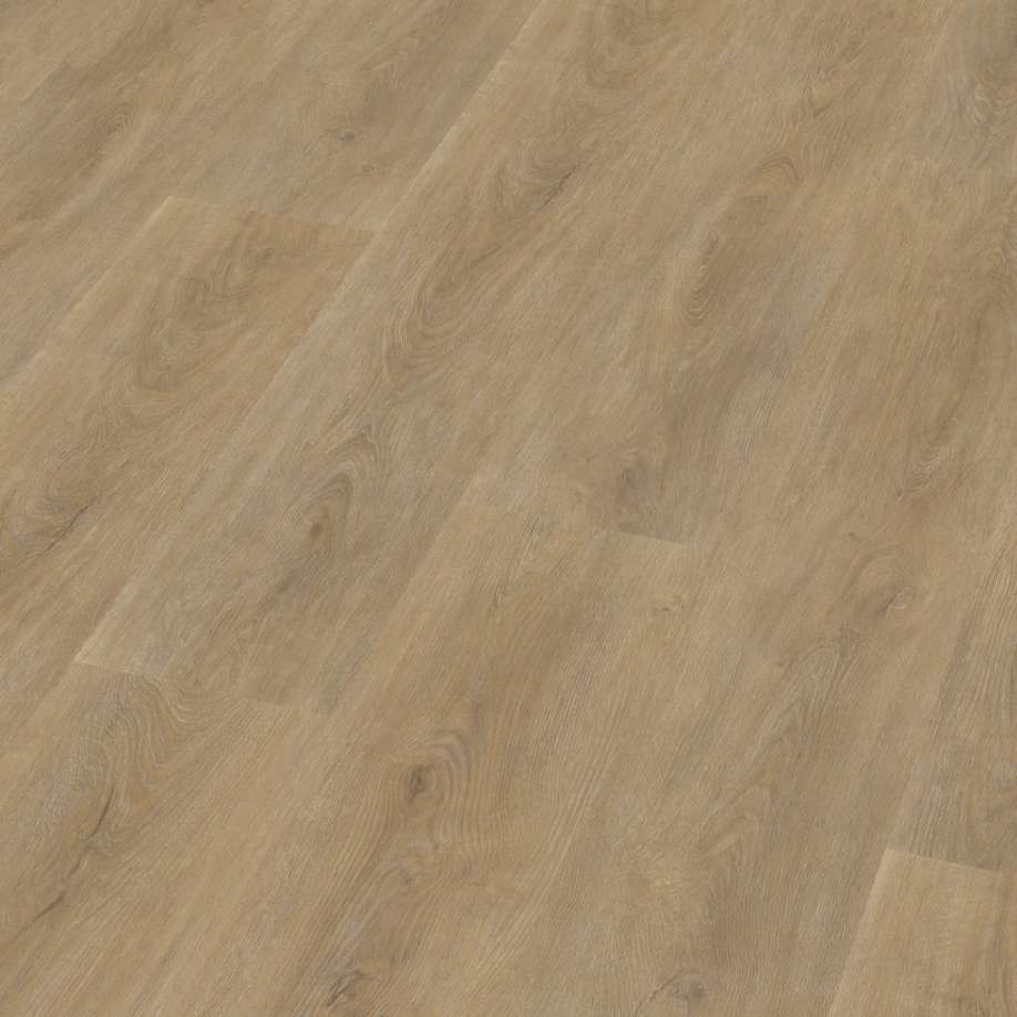 Floorlife Parramatta dryback natural oak