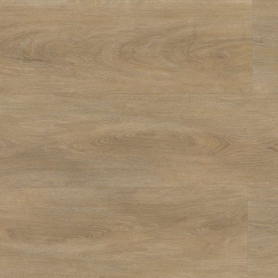 Floorlife Parramatta dryback natural oak