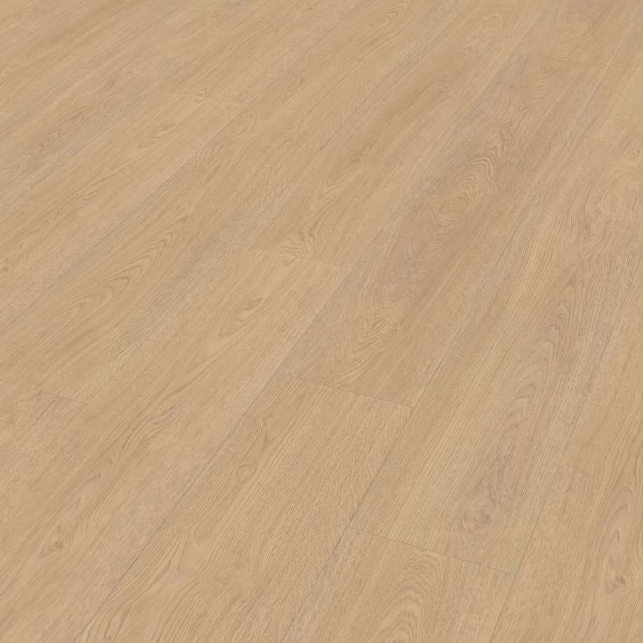 Belakos Terreno 610 | Rigid Click