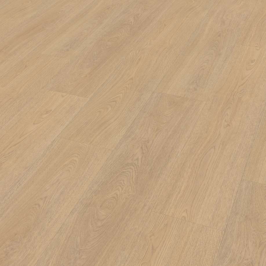 Belakos Terreno 610 | Rigid Click