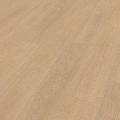 Belakos Terreno 610 | Rigid Click