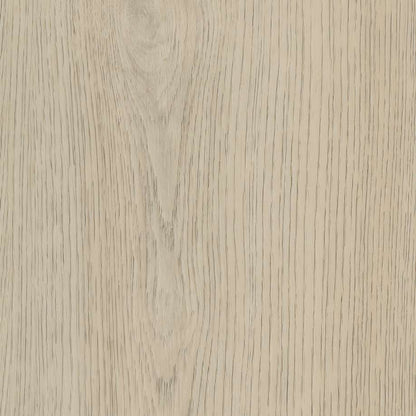 Belakos Terreno 620 | Rigid Click