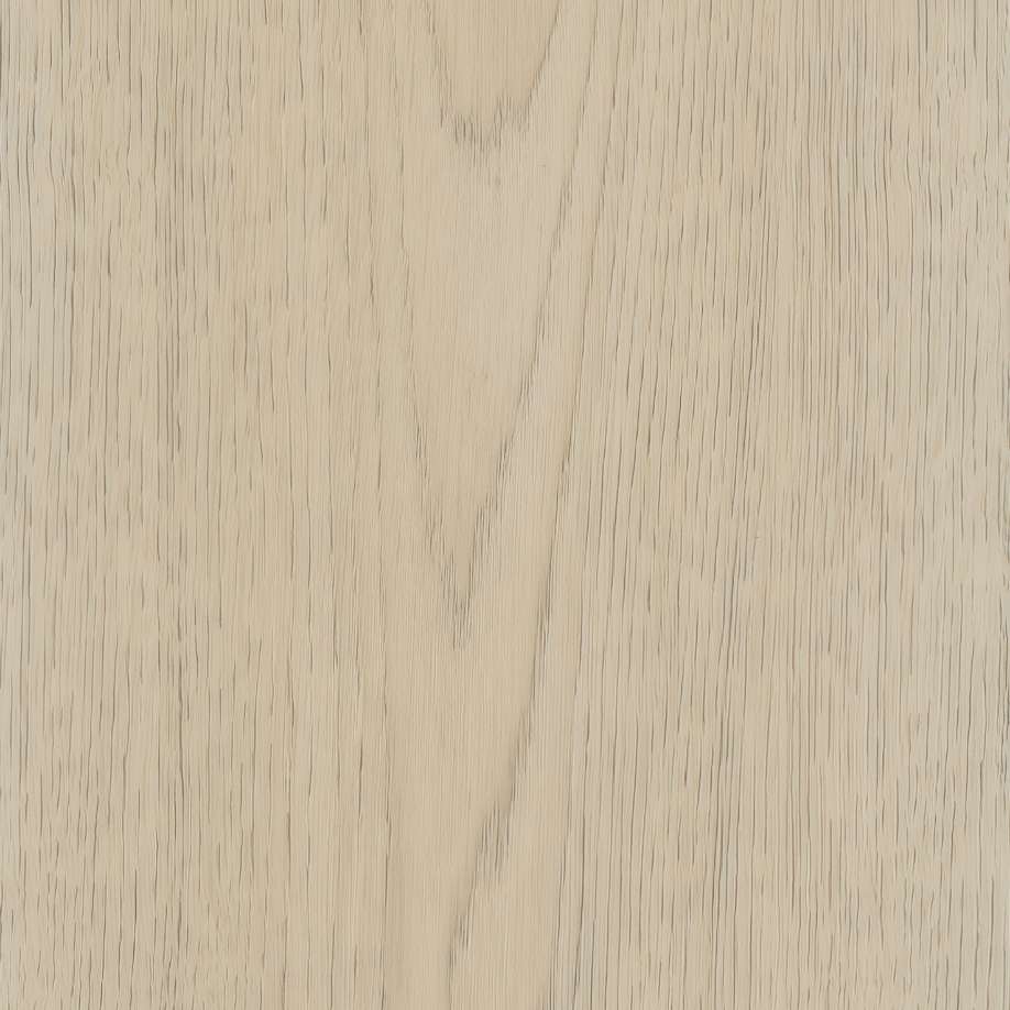 Belakos Terreno 620 | Rigid Click