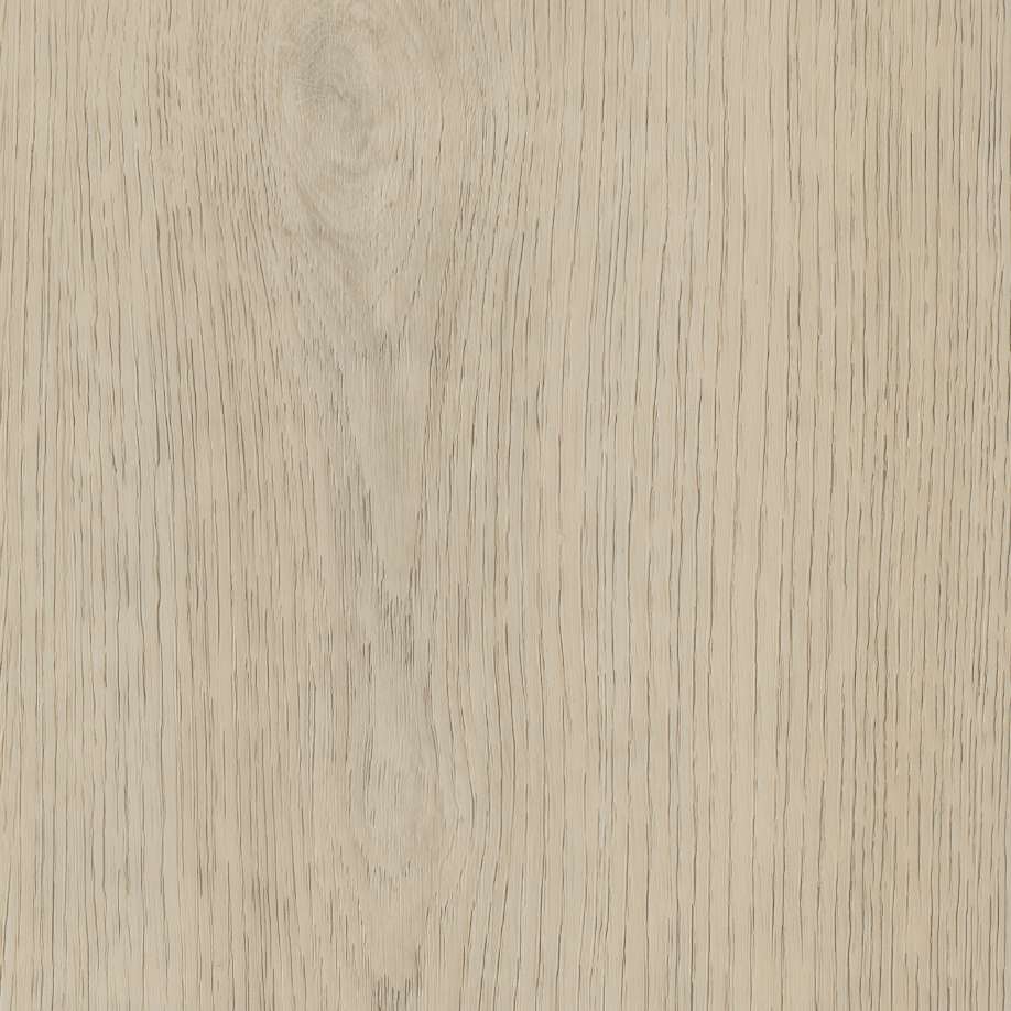 Belakos Terreno 620 | Rigid Click