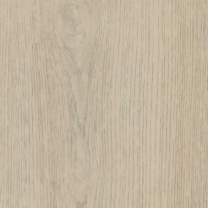 Belakos Terreno 620 | Rigid Click