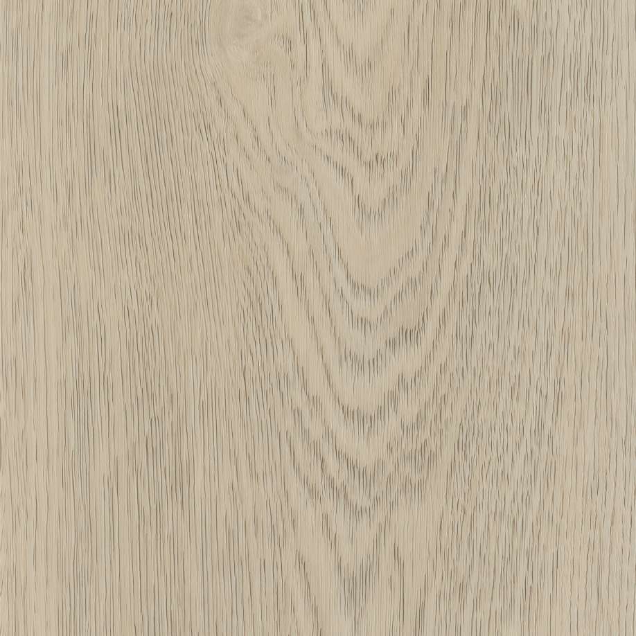 Belakos Terreno 620 | Rigid Click