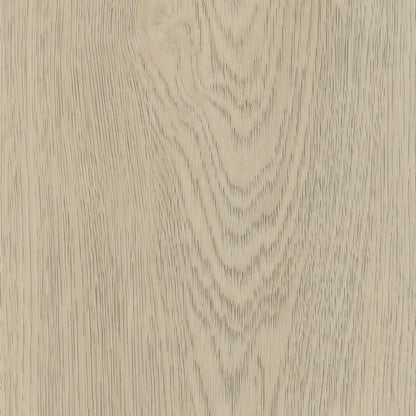 Belakos Terreno 620 | Rigid Click