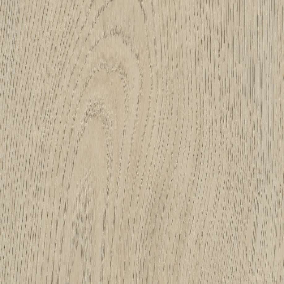 Belakos Terreno 620 | Rigid Click