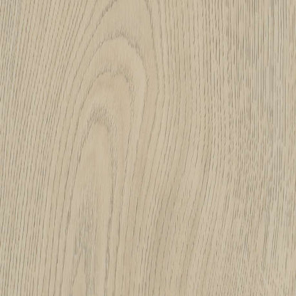 Belakos Terreno 620 | Rigid Click