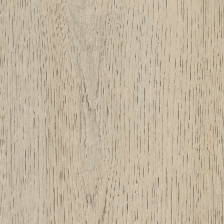 Belakos Terreno 620 | Rigid Click