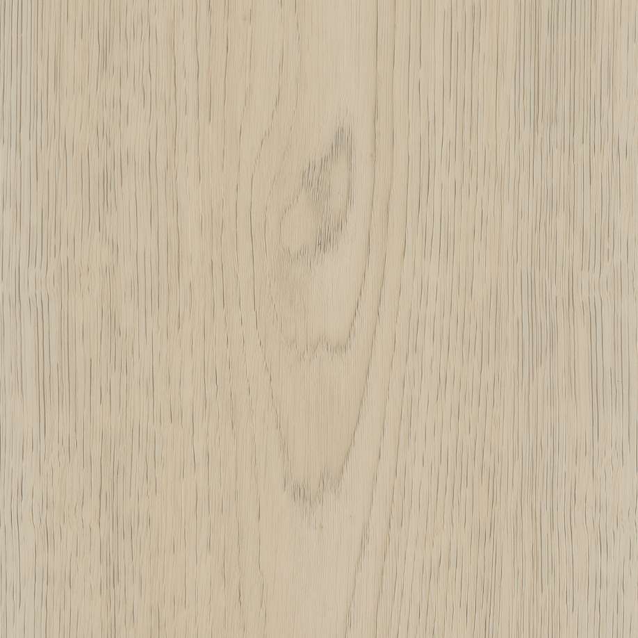 Belakos Terreno 620 | Rigid Click