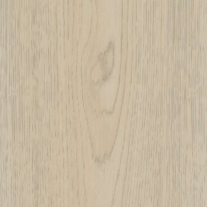 Belakos Terreno 620 | Rigid Click