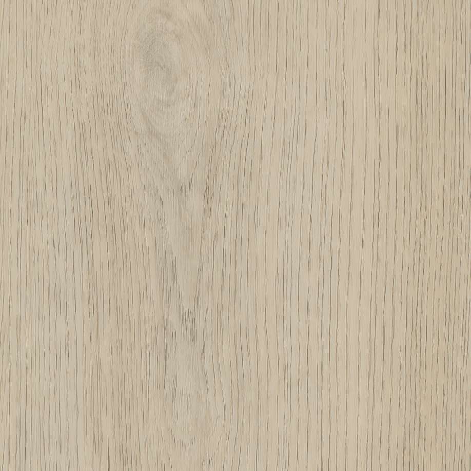 Belakos Terreno 620 | Rigid Click