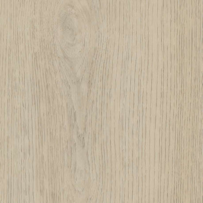 Belakos Terreno 620 | Rigid Click