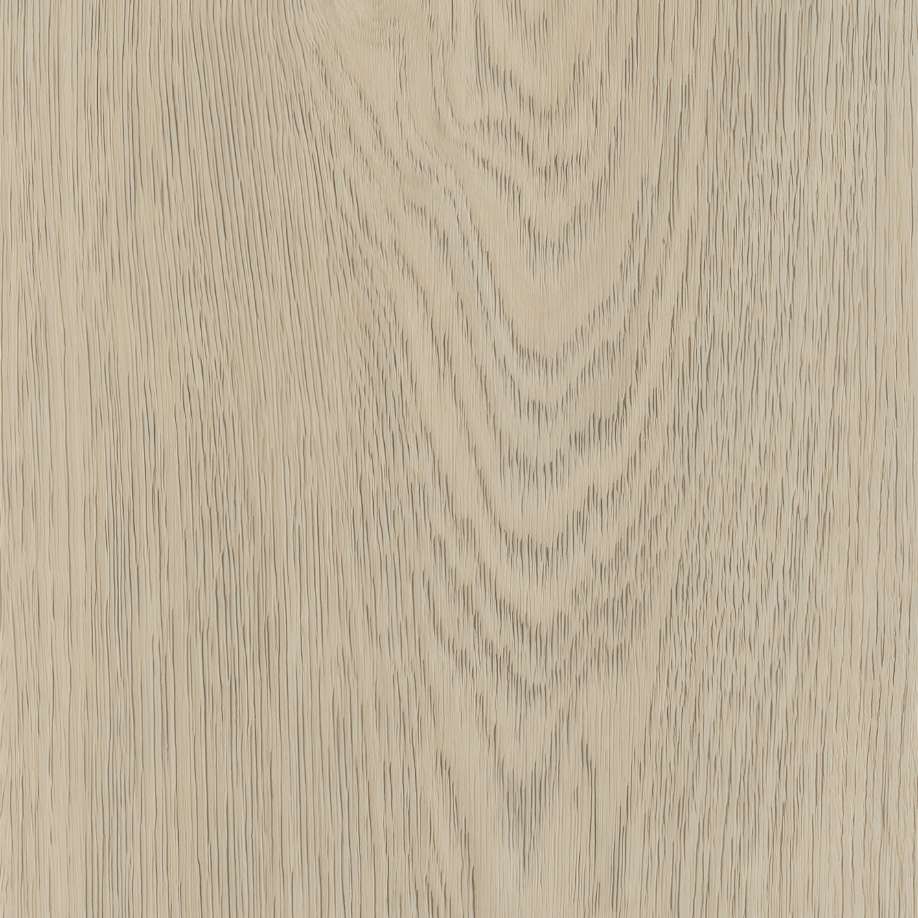 Belakos Terreno 620 | Rigid Click