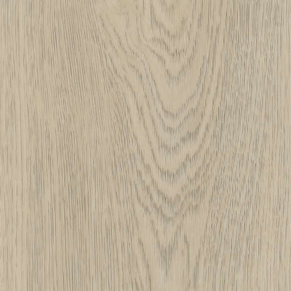 Belakos Terreno 620 | Rigid Click