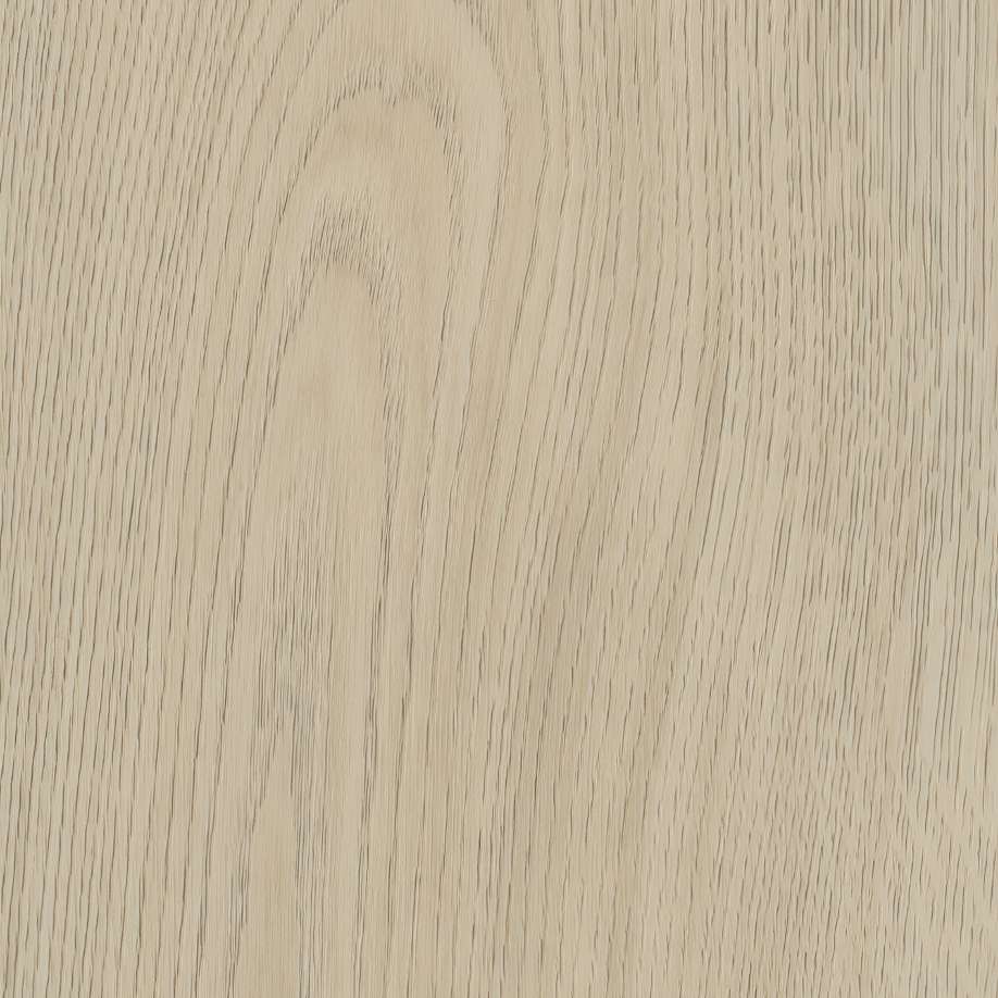 Belakos Terreno 620 | Rigid Click