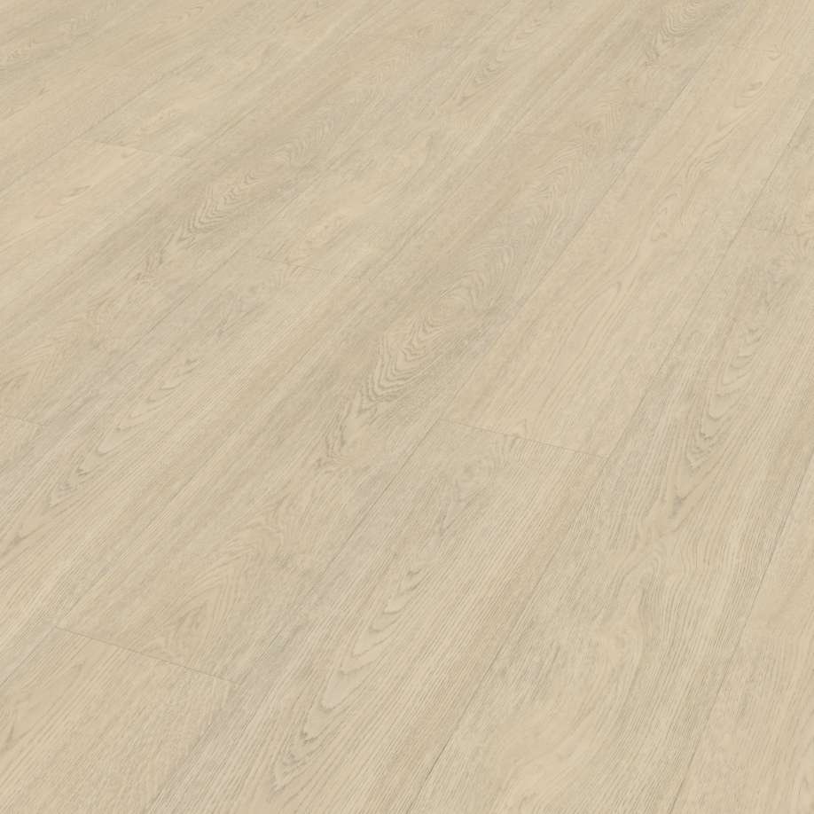 Belakos Terreno 620 | Rigid Click