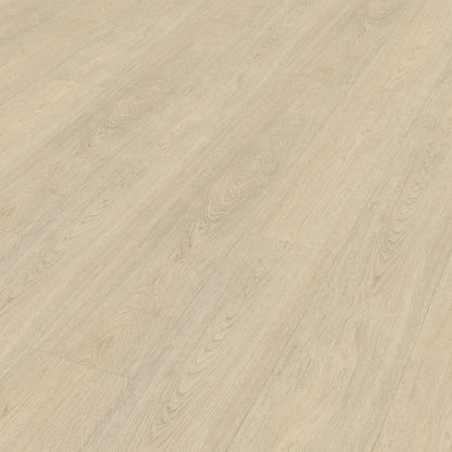 Belakos Terreno 620 | Rigid Click